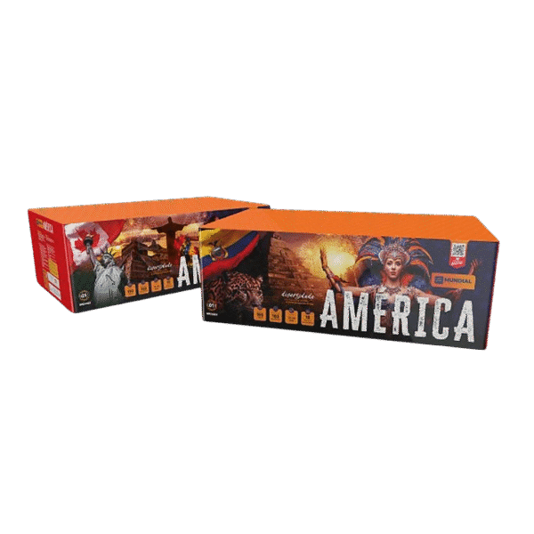 Torta América
